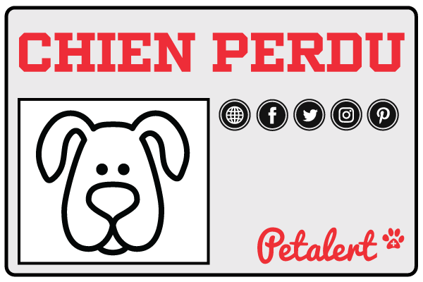 Pet Alert Spread Your Dog Review